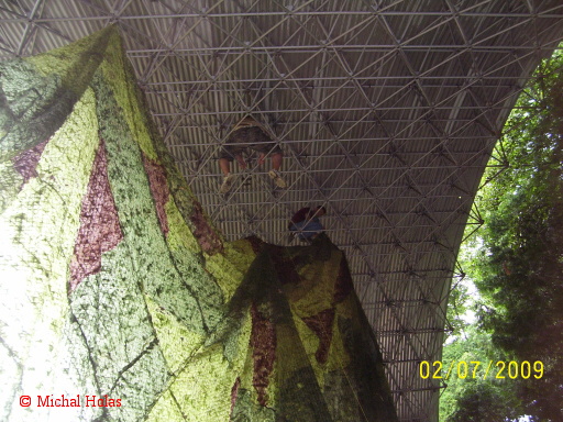 056      kam nedos hla plo ina nastoupili odv  livci     